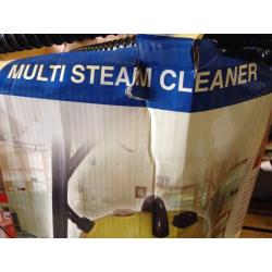 Multi steam cleaner