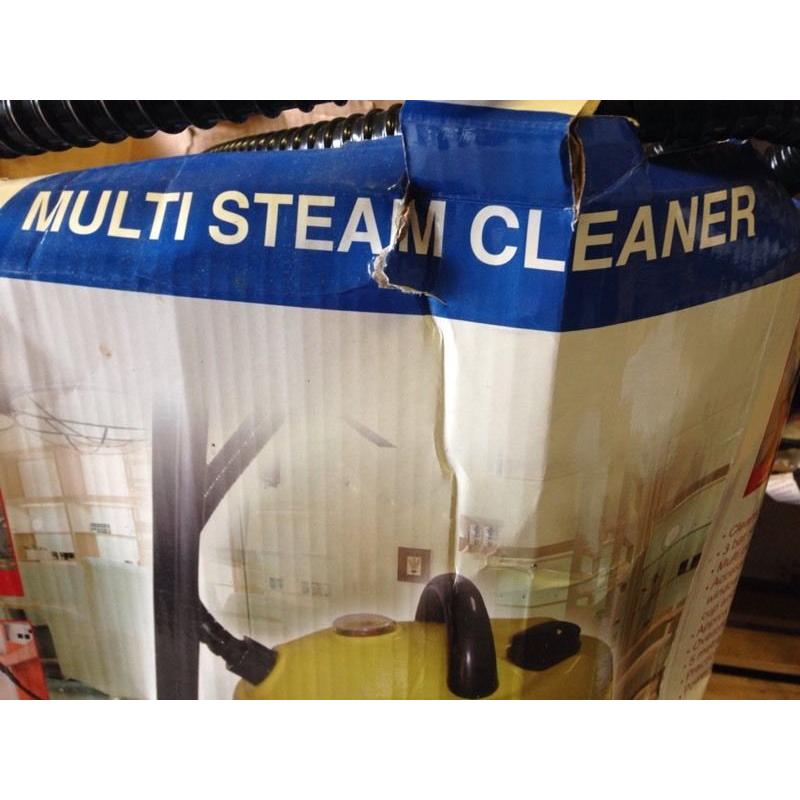 Multi steam cleaner