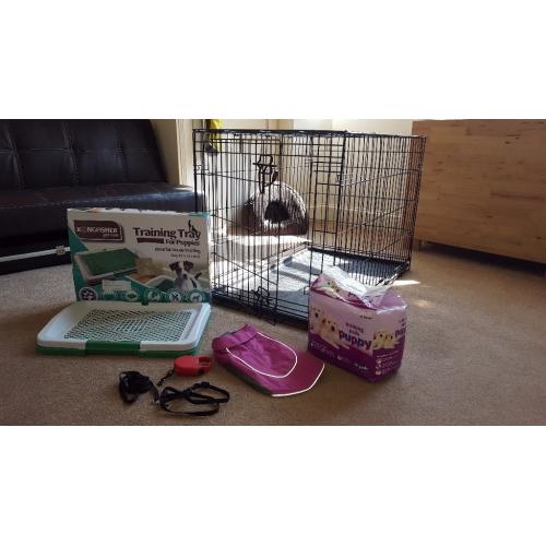 Medium sized Dog crate with Puppy accessories