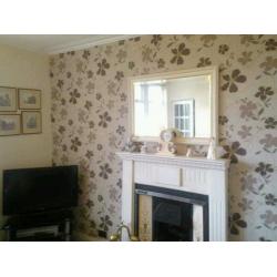 Phoenix Painting & Decorating