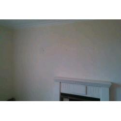 Phoenix Painting & Decorating