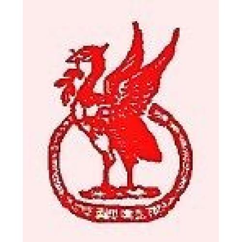 Female Goalkeeper Needed for Women's Football team!