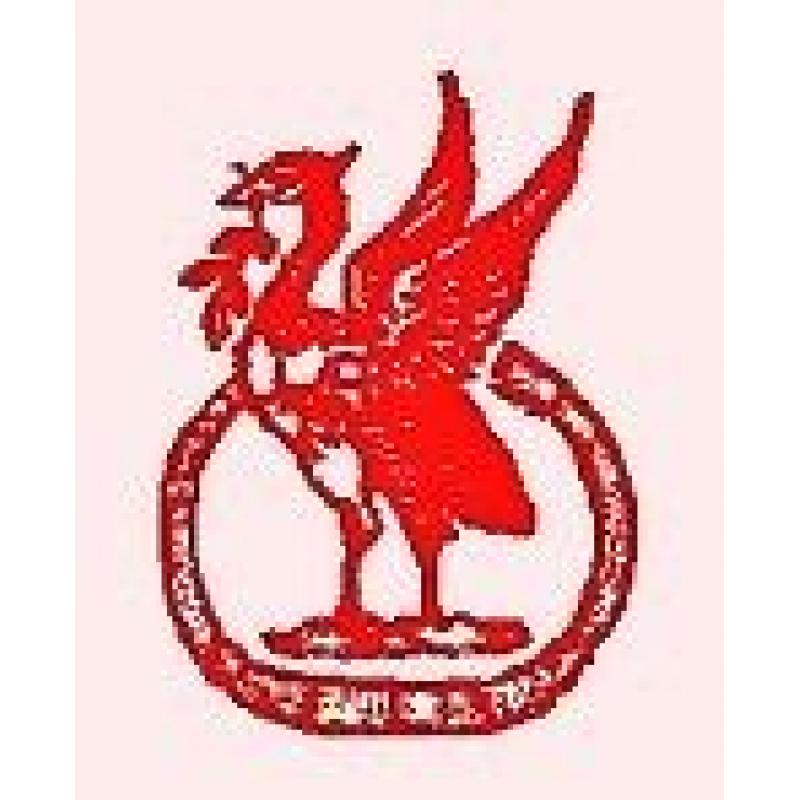 Female Goalkeeper Needed for Women's Football team!