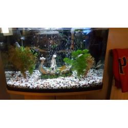 Tropical fish tank with stand