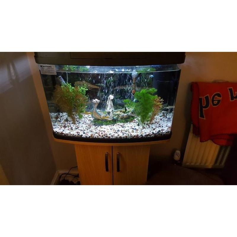 Tropical fish tank with stand