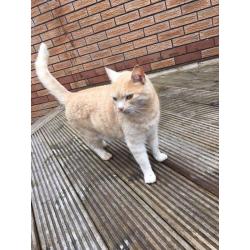 New home needed for Eddie
