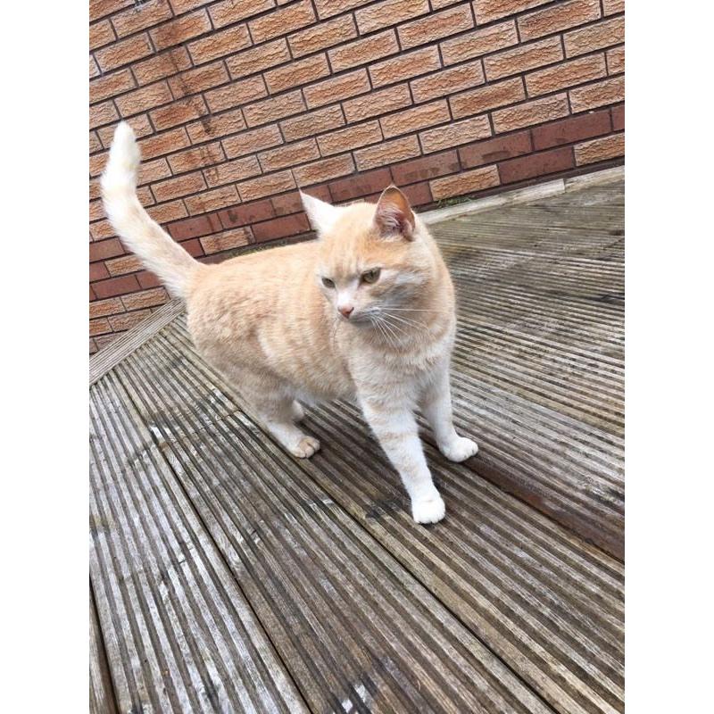 New home needed for Eddie