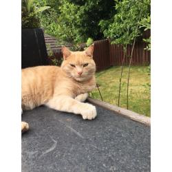 New home needed for Eddie