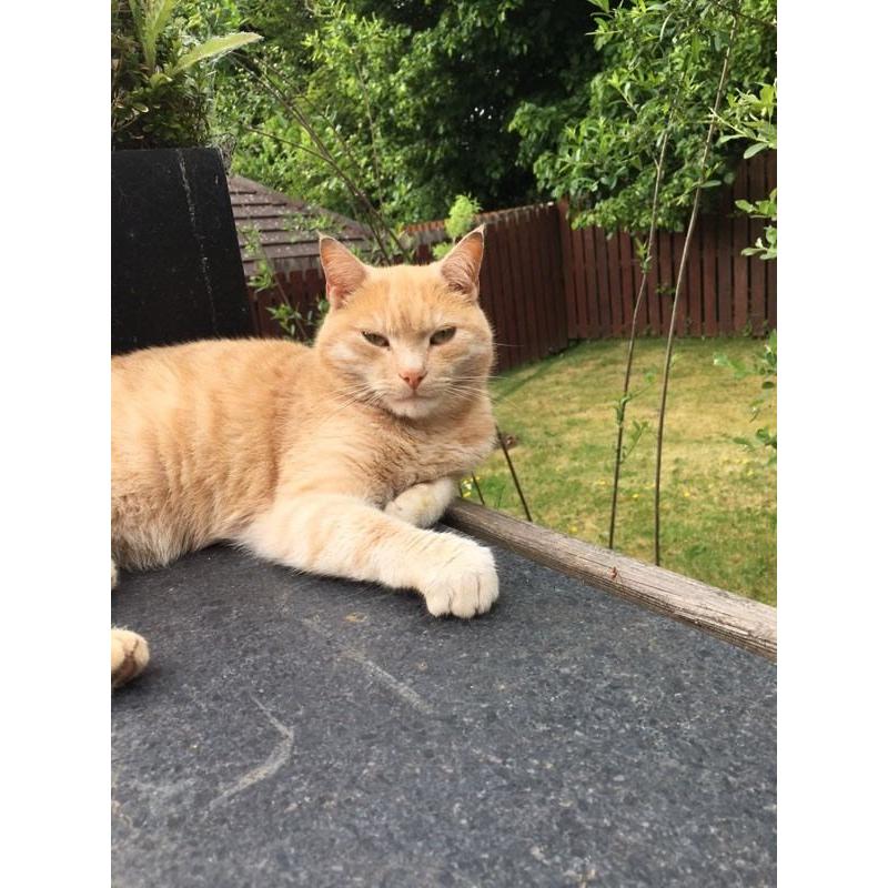 New home needed for Eddie