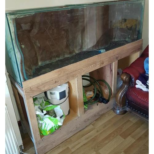 Large fish tank