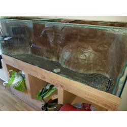 Large fish tank
