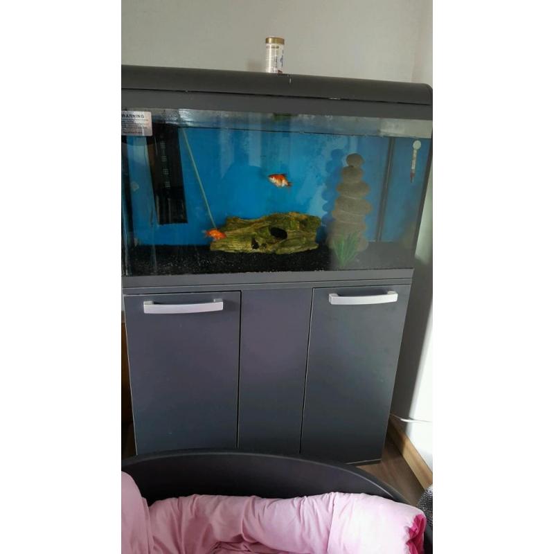 110ltr fish tank aquarium