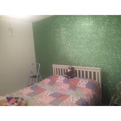 Qualified painter and decorator