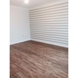 Qualified painter and decorator