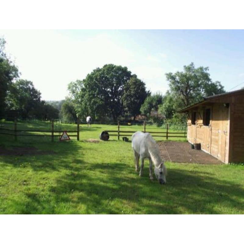WANTED 1/2 ACRE OF LAND/ PADDOCK