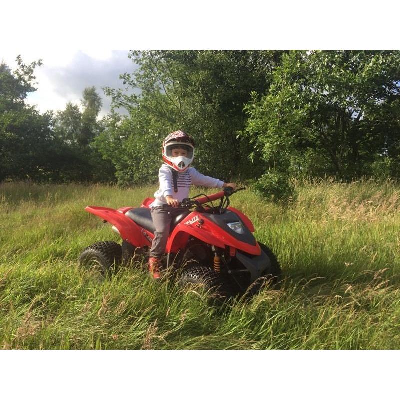 Quad bike 100cc Lawnflite lazer better than LT80 swap?