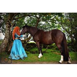 North Coast Merida.. Party princess