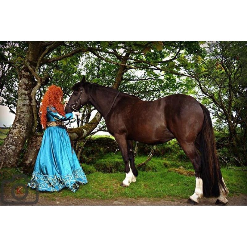 North Coast Merida.. Party princess