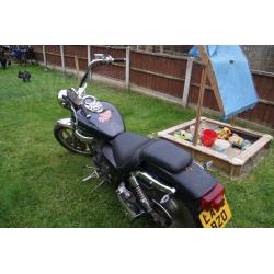 Custom cruiser Daelim Magma VT