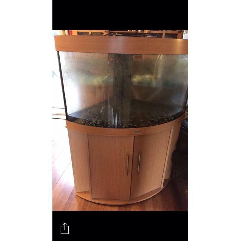 Corner fish tank with cupboard