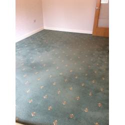 CARPET 18' x 11' - pale Green with small yellow design.