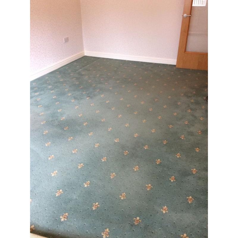 CARPET 18' x 11' - pale Green with small yellow design.
