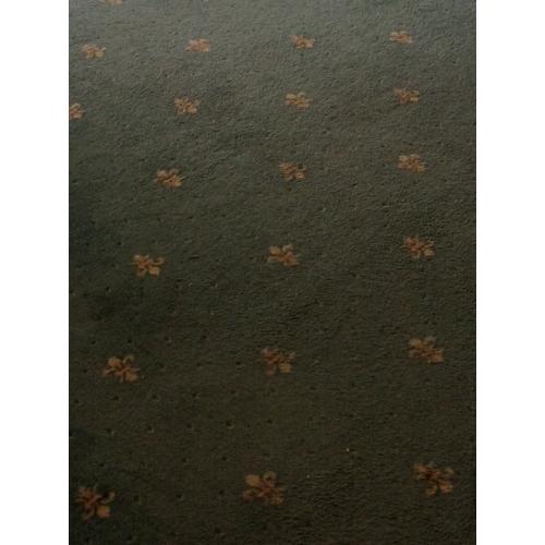 CARPET 18' x 11' - pale Green with small yellow design.