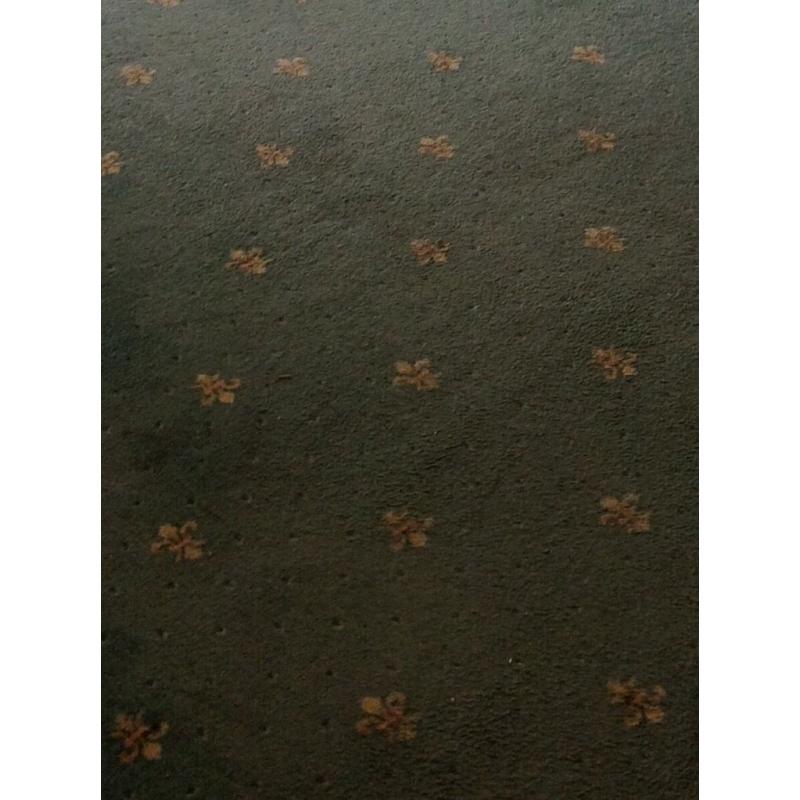CARPET 18' x 11' - pale Green with small yellow design.