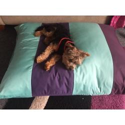 Comfy pet mats for all pets