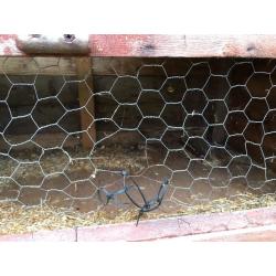 Rabbit hutch - 2 levels