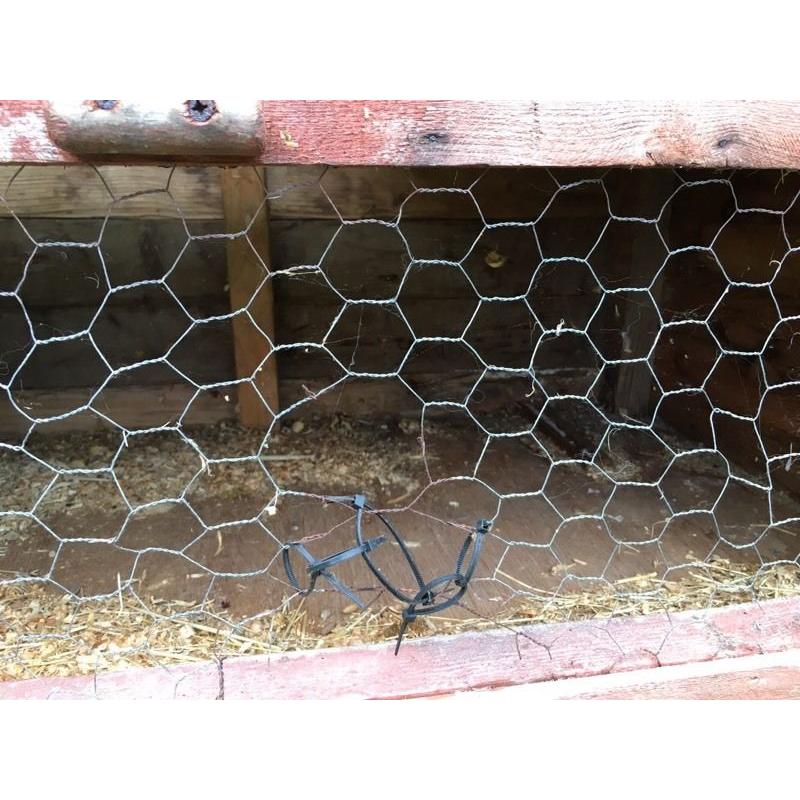 Rabbit hutch - 2 levels