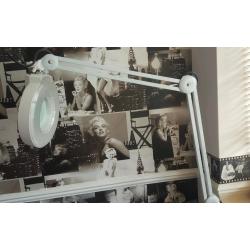 Beauty Therapy magnifying lamp