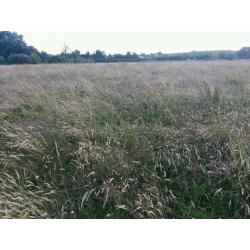 Organic Quality Meadow Hay Small Bale