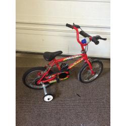 Bicycle Raleigh