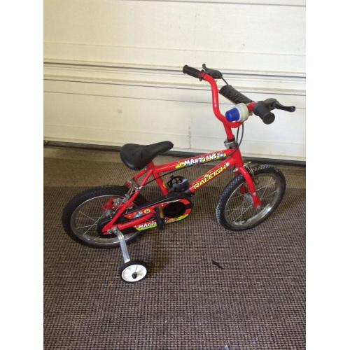 Bicycle Raleigh