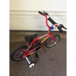 Bicycle Raleigh