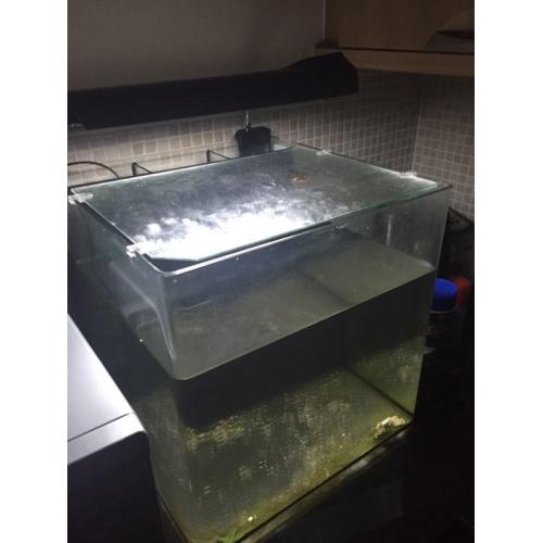 Aqua One Aqua nano 40 Fish Tank