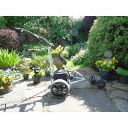electric golf trolley