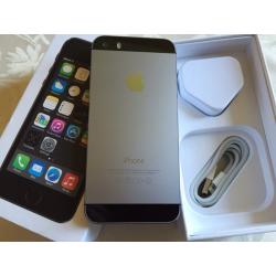 iPhone 5s 16gb ( unlocked) any network