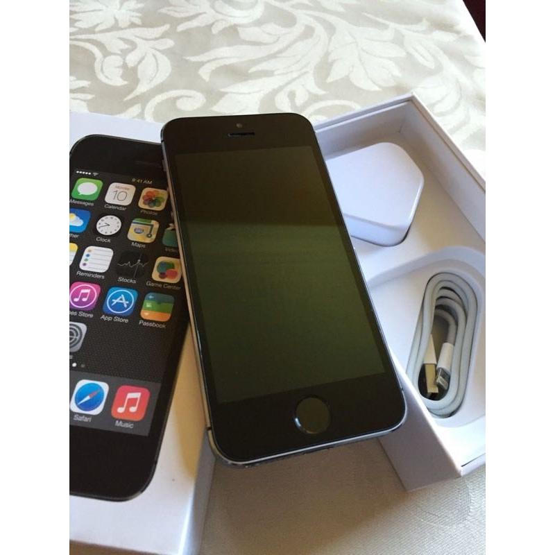 iPhone 5s 16gb ( unlocked) any network