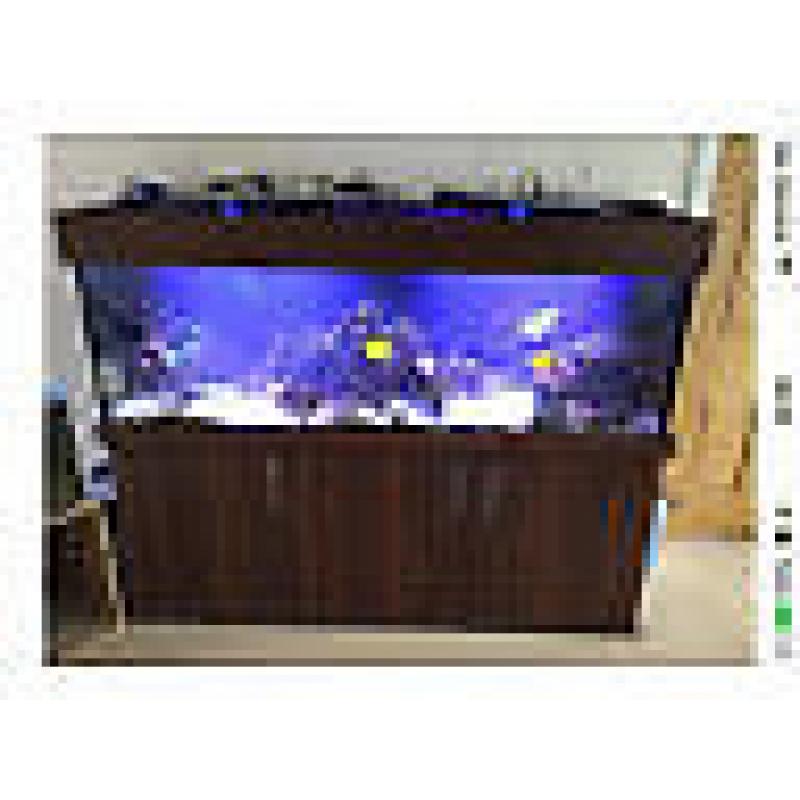 Bespoke marine tank aquarium 6ftx2ftx2ft