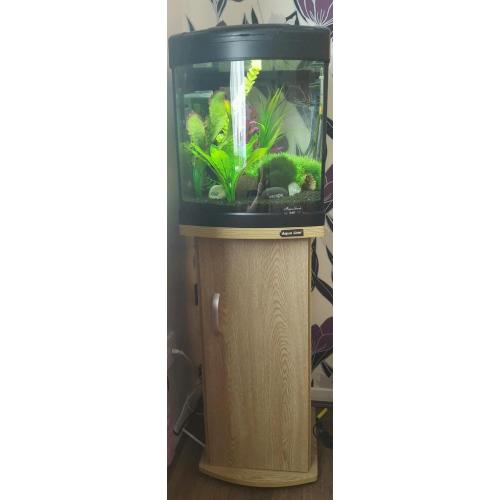 Aquaone 340 tropical fish tank