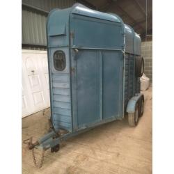 Bayhill Double Horse trailer