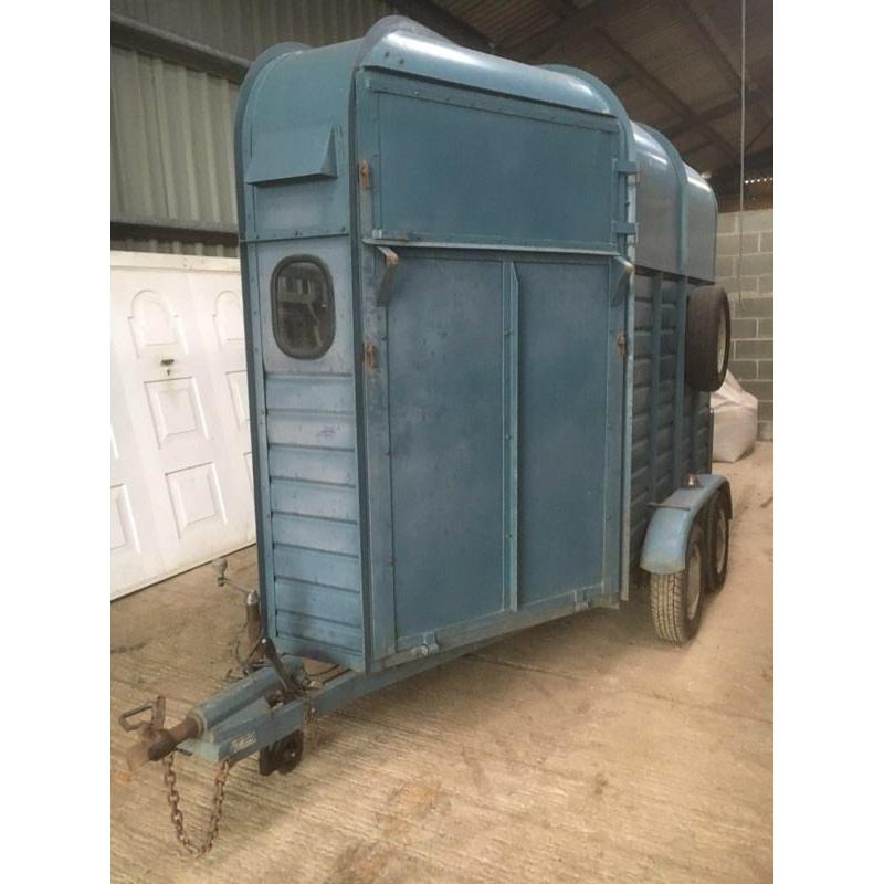 Bayhill Double Horse trailer