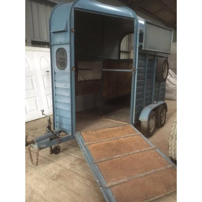 Bayhill Double Horse trailer