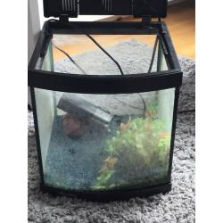 Fish tank, pump and pebbles.