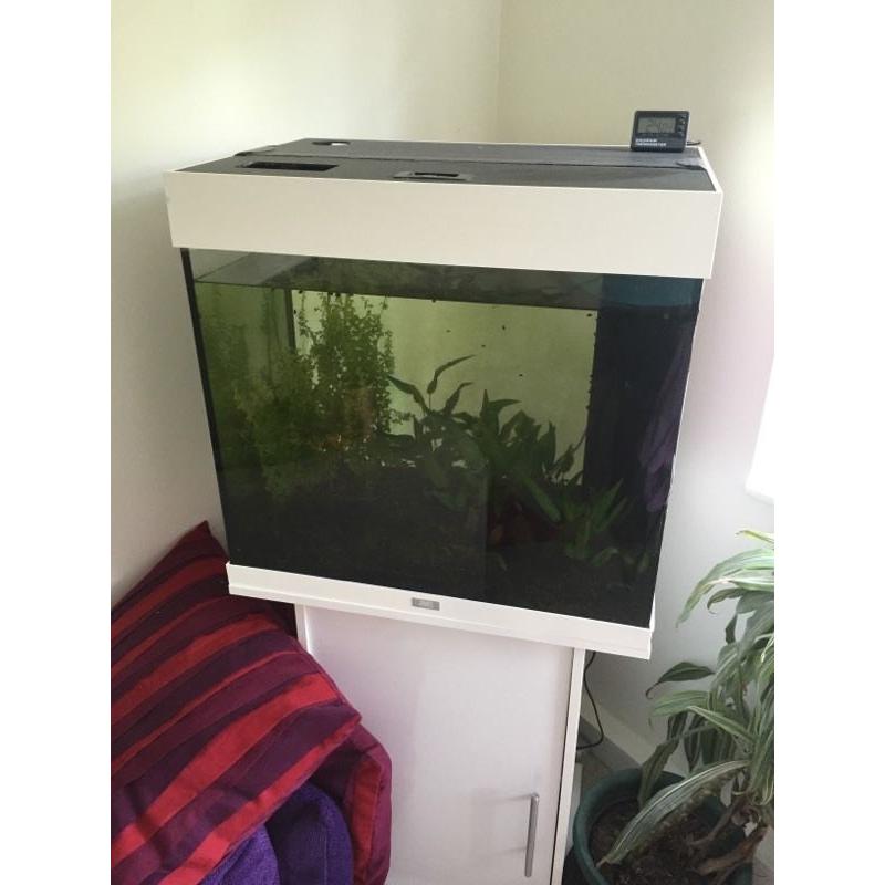 Jewel lido 120 litres fish tank