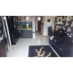 *SERIOUS SWAPPERS ASAP* Large 2 bed house London/Hertfordshire border