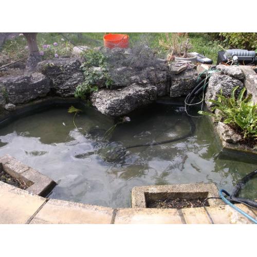 Pond Cleaning, Maintenance and Construction - [Surrey and London area]