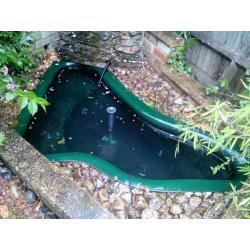 Pond Cleaning, Maintenance and Construction - [Surrey and London area]